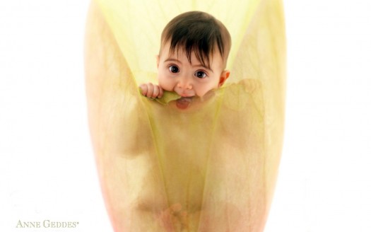 صور اطفال  Anne Geddes Cute Baby Wallpaper كيوت وجميلة