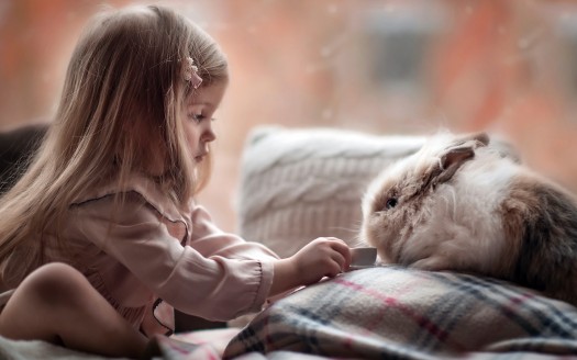 صور اطفال  Cute girl Playing with Rabbit Wallpaper كيوت وجميلة