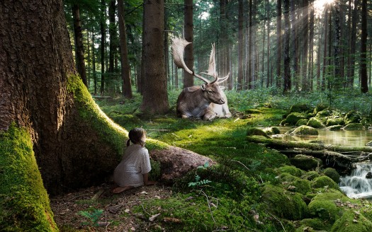 صور اطفال  Fairytale Forest Wallpaper كيوت وجميلة