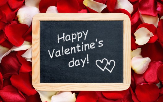 صور رومانسية للعشاق  Happy Valentines Day Rose Petals Wallpaper حب وغرام