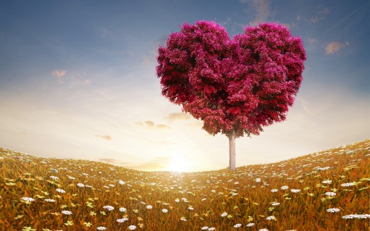 صور رومانسية للعشاق  Love Heart Tree Fields Wallpaper حب وغرام