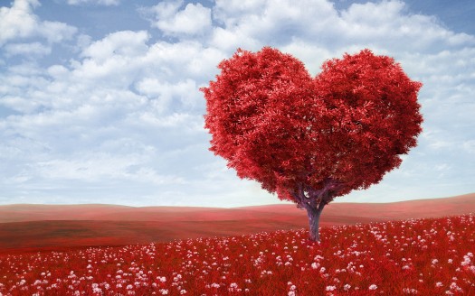 صور رومانسية للعشاق  Red Love Heart Tree Wallpaper حب وغرام