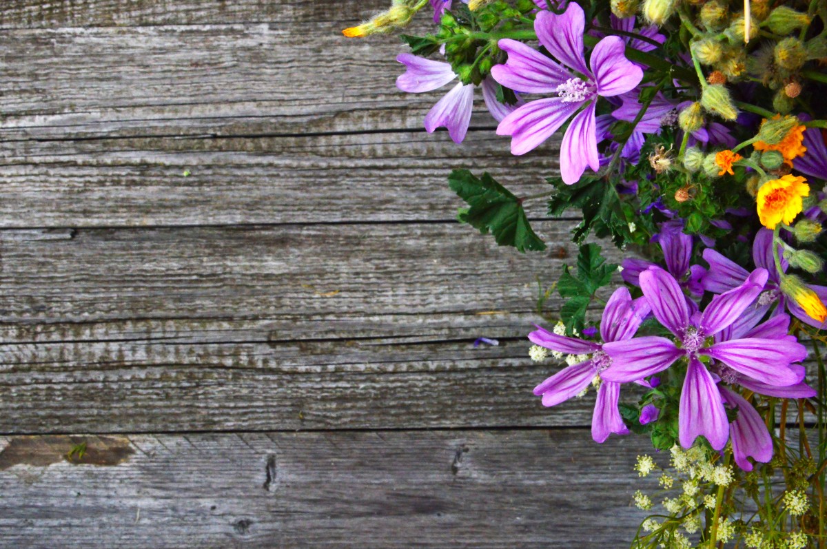 خلفية جميلة الجمال باقة لون الديكور فلورا الزهور زهرة الزهور الطازجة الخضراء الحياة الطبيعية طبيعة النباتات القديمة لا تزال الصيف إناء خمر جدار أبيض خشبي