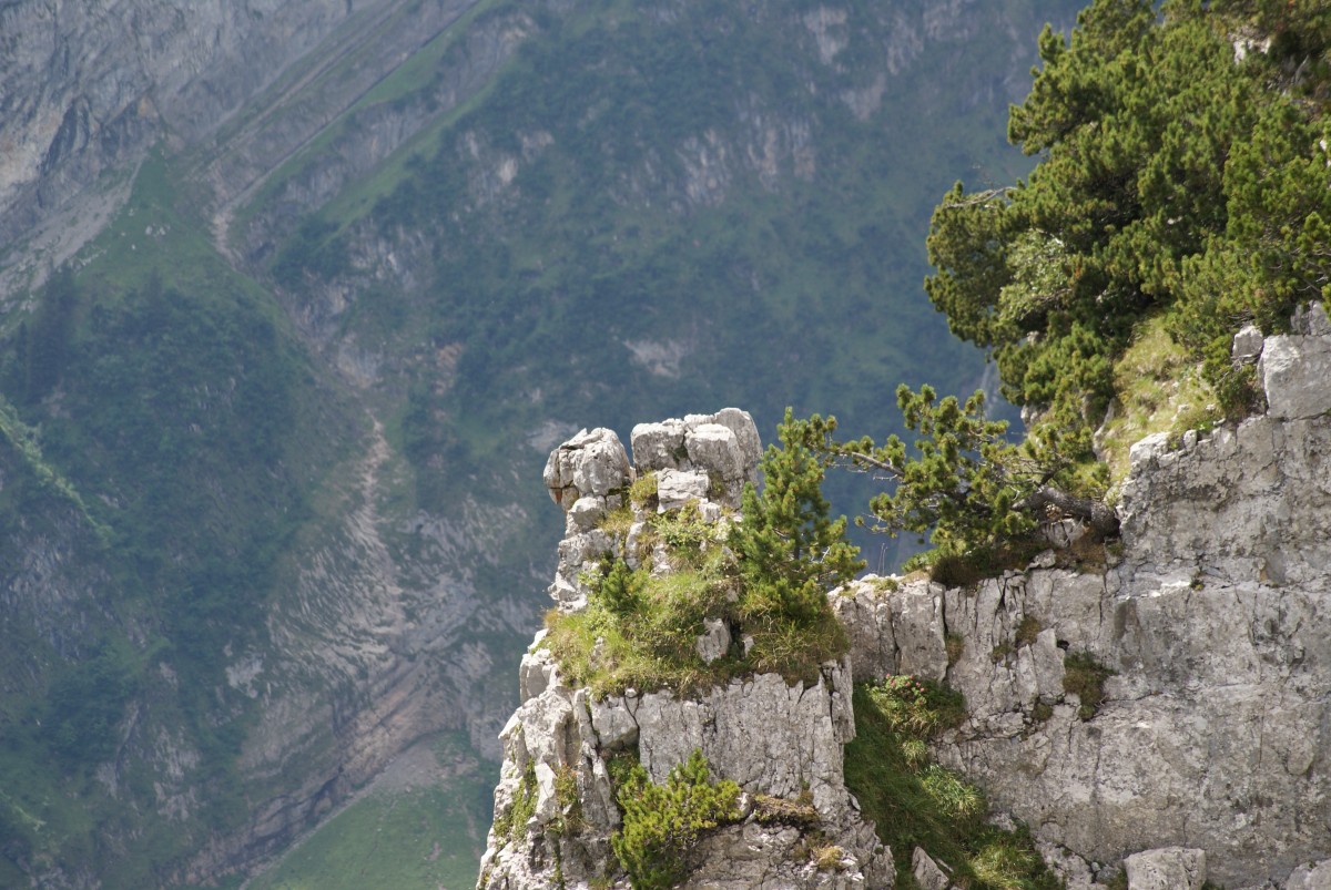 الصورة عالية الدقة المجانية لسويسرا ، الصخور ، محطة التل ، الأراضي الجبلية ، الجرف ، مو