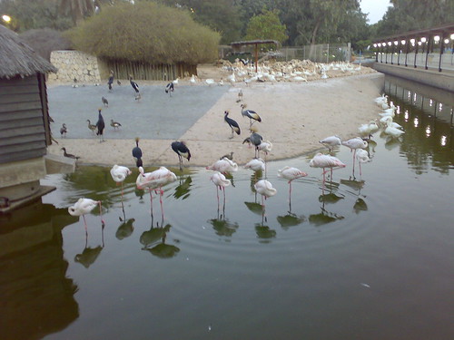 Qatar zoo