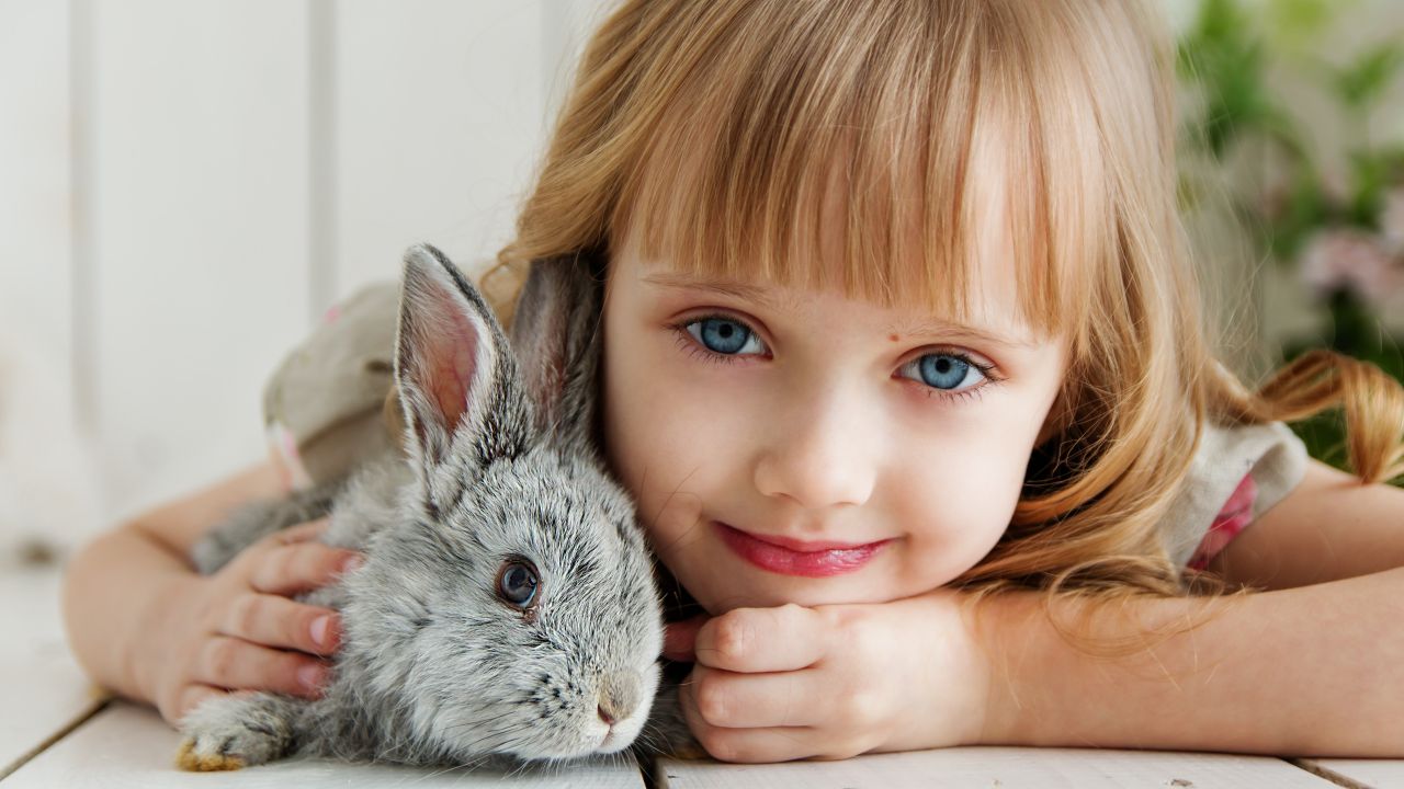 Cute girl, Cute kid, Rabbit, 4K, 5K