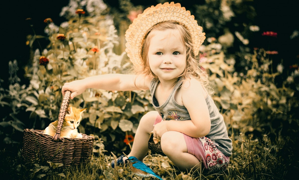 baby basket beautiful blond blur cat cheerful child childhood closeup cute depth of field focus fun girl grass happiness innocent joy kid kitten little outdoors park plants sit smile young human hair color sitting photography toddler sunlight portrait photography infant tree plant