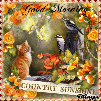 Country Sunshine Good Morning