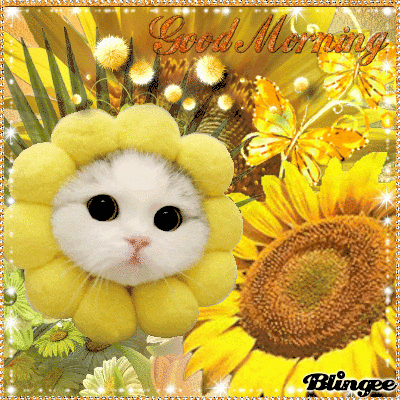 Sunflower Kitty Good Morning Quote