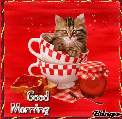 Teacup Kitten Red Good Morning Quote
