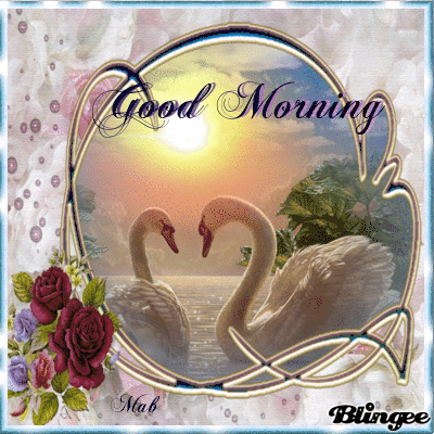 Two Swan Good Morning Quote