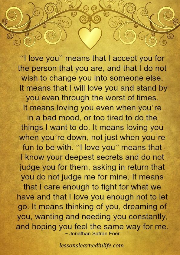 I Love You Means...