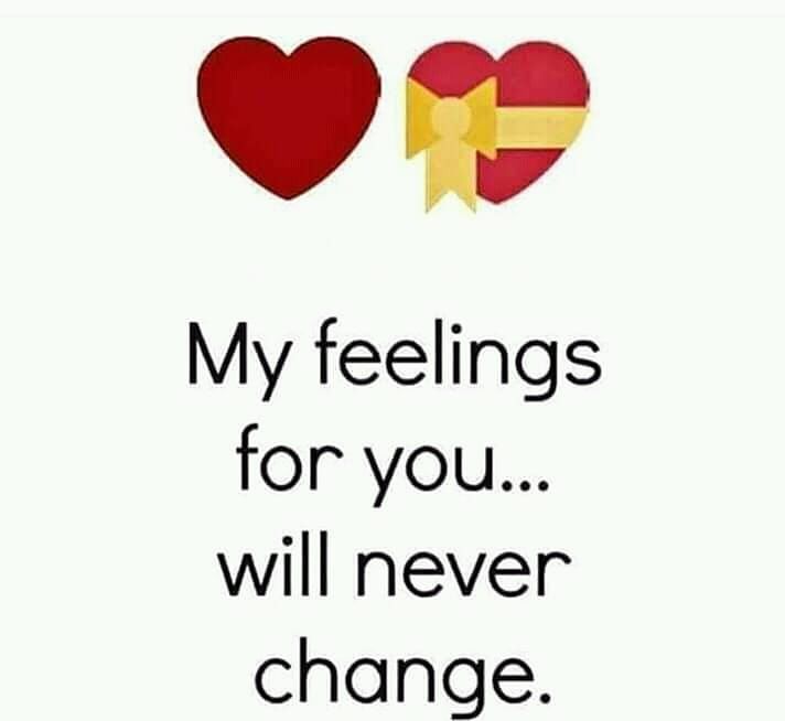 My feelings for you...will never change
