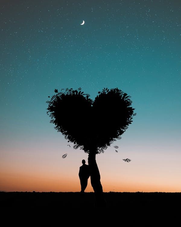 Silhouette Of Man Leaning On Heart Shaped Tree