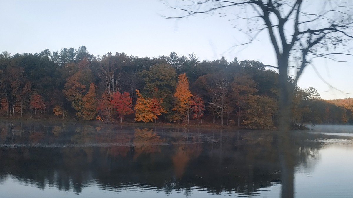 صورة عالية الدقة خالية من الخريف ، والألوان ، والأشجار الثلاثية ، والبحيرة ، والأزرق ، والمياه ، والقطار ، والأوراق ، و reflecti
