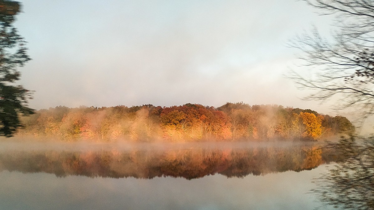 صورة عالية الدقة خالية من الضباب ، الخريف ، البحيرة ، ثلاثة ، الألوان ، السماء ، الأوراق ، فينوم الغلاف الجوي