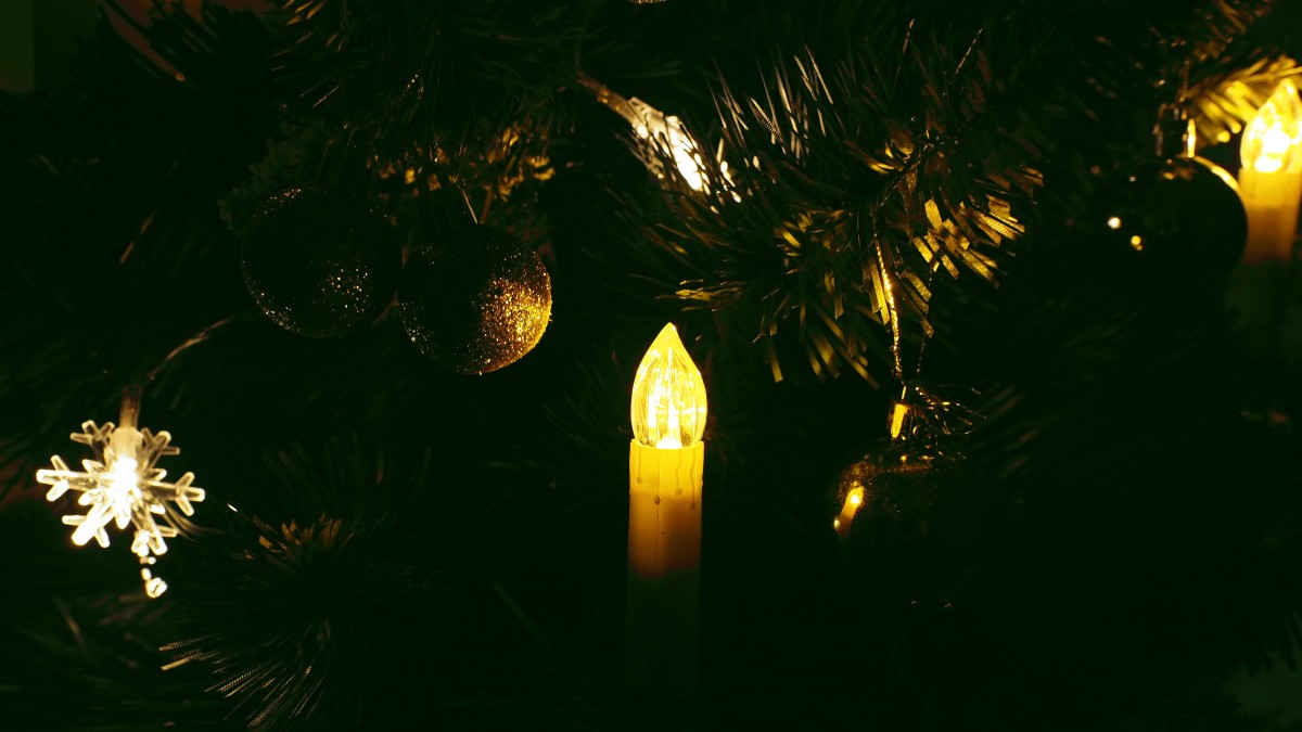 شجرة عيد الميلاد ، شمعة ، أضواء عيد الميلاد ، الإضاءة ، ضوء ، ليلة ، الظلام ، شجرة ، السماء ، منتصف الليل ، عطلة ، مصنع ، الحدث ، ديوالي ، فرع ، فيت ، التصميم الداخلي ، فانوس ،