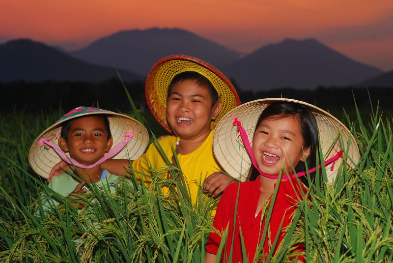 Kids in the ricefield
